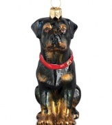 Just begging for a home, this rottweiler ornament has puppy dog eyes and a beautiful coat in hand-painted glass by Joy to the World.