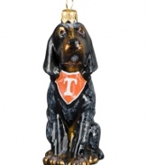 Immortalizing Tennessee's number one pooch, Smokey the Bluetick Coonhound, this soon-to-be fan favorite is something the Vols can celebrate year round.
