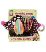 Stretch the puppy and see his colorful body crinkle and grow! Squeak his soft nose and rattle his tail. Crinkle, rattle and squeak offer multiple sensory exploration.