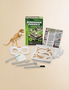 Aspiring paleontologists can fossilize, dig up, and reconstruct a dinosaur skeleton replica with this fascinating kit.Learn how fossils form, are excavated, and how dinosaur bones are pieced togetherRecreate the process of fossilization by burying your dinosaur bones in layers of plaster rock