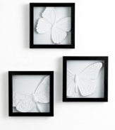 Three white butterflies are caught and presented in black shadowboxes in this fresh decorating idea for contemporary spaces. From Umbra.