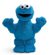 Add Cookie Monster to your child's collection. He's cute, soft and always hungry. In plush faux fur.