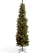 Get the skinny on elegant holiday decorating! With a long, lean silhouette and 300 clear lights, Kurt Adler's Winchester Pine pencil tree brings joy to your gatherings and sparkling warmth to those chilly winter nights.