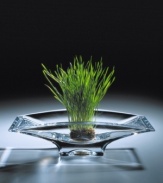 For creative flower arrangements, hors d'oeuvres, and anything else you want, this bowl is truly an example of beautiful form meets exceptional function.