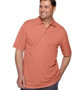 Step up your game with the performance styling of this big and tall polo shirt from Izod.
