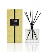 Pink pomelo grapefruit and watery green nuances are blended with lily of the valley and coriander blossom. NEST Fragrances Reed Diffusers are carefully crafted with the highest quality fragrance oils and are designed to continuously fill your home with a lush, memorable fragrance. The alcohol-free formula releases fragrance slowly and evenly into the air for approximately 90 days. To intensify the fragrance, occasionally flip the reeds over. 5.9 oz. 