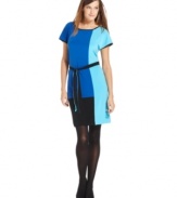 Calvin Klein's shift looks extra contemporary with its gorgeous colorblocking. A matching self-tie belt highlights your figure.