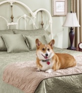 Best friends are now welcome on the bed with the Pet Bed Protector from Sure Fit. Featuring a luxurious, suede-like finish that protects your bed from paws and claws.