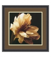 Discover the intricate folds and delicate beauty of a perfect bloom in Timeless Grace I by Charles Britt. Floating on a dark ground, this floral portrait is a fresh perspective on the natural world. Display with the rest of the Timeless Grace series for dramatic effect. In black frame with beaded edge.
