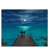 Disney's Mickey and Minnie Mouse enjoy a romantic evening, peering out over the moonlit horizon in this fine canvas print of Walfrido's Sharing a Moment.