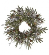 Welcome the winter. The Winter Ice pine cone wreath lets you decorate with a touch of lifelike evergreen beauty, making it perfect for the holidays. From Winward.