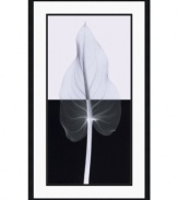 Steven Meyers sheds new light on the simple yet unequivocal grace of a calla leaf. A combination of x-ray images reveals the unexpected shadows and intricacies of nature in this incredible art print.