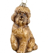 Lucky dog! Just begging for a home, this labradoodle ornament has puppy dog eyes and a beautiful brown coat in hand-painted glass by Joy to the World.