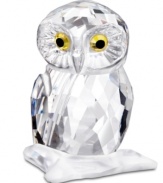 This head-turning owl figurine embodies the gentle bird's wise and peaceful spirit in faceted Swarovski crystal. With striking topaz eyes and a matte crystal perch.