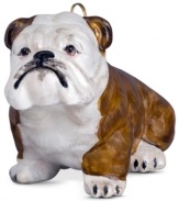 Just begging for a home, this brown and white bulldog ornament has puppy dog eyes and a beautiful coat in hand-painted glass by Joy to the World.