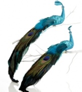 Turn heads with two majestic peacocks, adorned with shimmering teal sequins, blue glitter and long feathered tails.