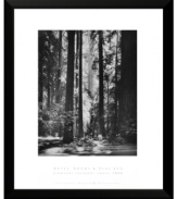 Premier nature photographer Ansel Adams captures the awe-inspiring majesty of California's Redwood forest. A single column of light pierces the dense forest and illuminates its floor in clean, classic black and white.