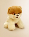 Boo, the world's cutest dog is now the world's cutest plush. This GUND version of the Facebook phenomenon is simply adorable. He's super soft and huggable.8H X 9W X 7DPolyesterSurface washRecommended for ages 1 and upImported