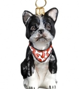 Puppy love at first sight. Just begging for a home, this Boston terrier ornament is irresistible to animal lovers in hand-painted glass from Joy to the World.
