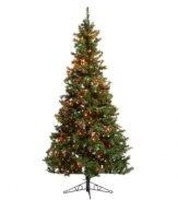 Light up your home with 6.5 feet of glittering, eco-friendly style! The Sugar Pines tree from Kurt Adler looks just like the real thing without all the work--leaving your holidays free to spend time with the people that count. With 500 multicolored lights to give your season extra sparkle.