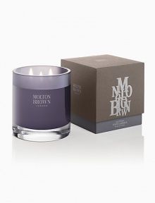 Have you heard? A tale on the wind. Alchemy unearthed. Our imp's whisper medio candle evokes a sense of exploration and optimism with its uplifting perfume. Lavender, tobacco, vetiver, sandalwood and musk create a scent that has both vigor and serenity. Burn time to 50-60 hours. Have you heard? A tale on the wind. Alchemy unearthed. Our imp's whisper medio candle evokes a sense of exploration and optimism with its uplifting perfume. Lavender, tobacco, vetiver, sandalwood and musk create a scent that has both vigor and serenity. Burn time to 50-60 hours.