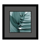 Wall-ready in black satin finished wood frame and protected with a gallery-quality, premium acrylic glaze, the artist Steven Meyers' x-ray image of lily leaves captures the transparent beauty of plants seldom seen before. Plus, its striking abstract composition will captivate many viewers.