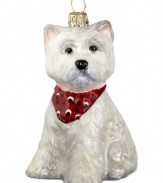 Puppy love at first sight. Just begging for a home, this Westie ornament is irresistible to animal lovers in hand-painted glass by Joy to the World.