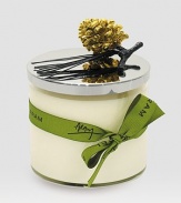 A special edition soywax candle captures the coziest of moments, whether in the wintery holidays or verdant summers. Clean, woody accords in the basenotes are punctuated by the rich earthiness of fir blossom. The green, herbaceous center and top scents are heightened with hints of lavender and citrus.Soywax candle Glass jar with metal lid 5H X 3¾ diam. Made in USA