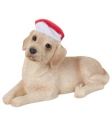 Bark up the right tree with a Christmas ornament for your dog – or a fellow animal lover! An adorable yellow lab waits patiently for holiday treats in her red Santa hat. From Sandicast.