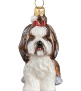 Just begging for a home, this Shih Tzu ornament has puppy dog eyes and a beautiful brown and white coat in hand-painted glass by Joy to the World.