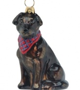 Just begging for a home, this chocolate lab ornament has puppy dog eyes and a beautiful coat in hand-painted glass by Joy to the World.