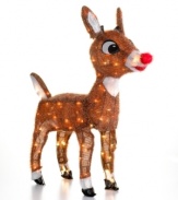 You would even say it glows. Rudolph is a festive sight throughout the season, with a blinking red nose and entire frame that'll shine on your front lawn or peeking out a first floor window. From Kurt Adler.