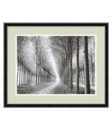 With slender rows of birch trees that appear endless, this striking black and white print by the photographer Chip Forelli imbues your home with a touch of the infinite. Beautifully framed in wood with a satin black finish and grainy surface.