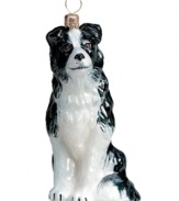 Just begging for a home, this border collie ornament has puppy dog eyes and a beautiful coat in hand-painted glass by Joy to the World.