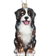 Puppy love at first sight. Just begging for a home, this Bernese Mountain dog ornament is irresistible to animal lovers in hand-painted glass by Joy to the World.