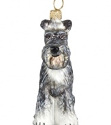 Just begging for a home, this Schnauzer ornament has puppy dog eyes and a beautiful coat in hand-painted glass by Joy to the World.