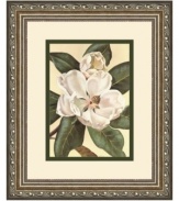 In a vintage-style silver frame with scrolling vine detail, Afternoon Magnolia is an elegant botanical print for traditional homes. Muted pink blossoms curl in and close for the evening as the afternoon sun sets. Display with the Morning Magnolia art print for a thoughtful, put-together look.