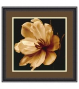 Sepia magnolia. Delicate petals unfurl in a perfect bloom in Timeless Grace II by Charles Britt. Floating on a dark ground, this floral portrait is a fresh perspective on the natural world. Featuring black frame with beaded edge.