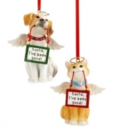 Pleading for treats, this little angel ornament proves irresistible to pet owners. A dog and cat are the picture of innocence, wearing halos and carrying signs that read, Santa, I've been good!