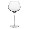 The Super stemware pattern offers a beautiful and robust, balloon inspired bowl for what is nothing but a stunning silhouette! Made with Luigi Bormioli's SON.hyx technology for a stronger, more vividly transparent glass quality.