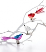 With tinsel tails and wings of glass and glitter, Martha Stewart Collection birds set your Christmas tree atwitter. Clip directly on its branches for irresistible whimsy. (Clearance)