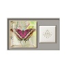 Fringe set includes one painted glass tray and one triple-milled luxury soap. Glass tray is painted with butterfly motif. All come in keepsake box with hinged lid. Soap fragrance is Botanica; a blend of currant, blackberry and gingergrass.
