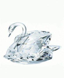 Highly collectible and exquisitely crafted by Swarovski, the Austrian leader in crystal artistry for over 100 years, Large Swan is sculpted of faceted crystal with a silvery glow and 18K gold-plated metal accents. Measures 2-1/2 x 2-3/8. Highly collectible and exquisitely crafted by Swarovski, the Austrian leader in crystal artistry for over 100 years, Large Swan is sculpted of faceted crystal with a silvery glow and 18K gold-plated metal accents. Measures 2-1/2 x 2-3/8.