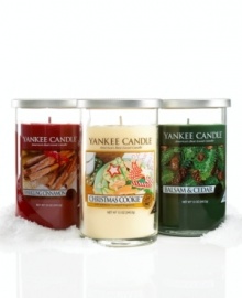 Decorate with good sense. This festive, great-for-giving Yankee candle fills the home with unmistakable holiday scents and, with red, white and green wax, fits cheerily into any Christmastime setting. Decorate with good sense. This festive, great-for-giving Yankee candle fills the home with unmistakable holiday scents and, with red, white and green wax, fits cheerily into any Christmastime setting.