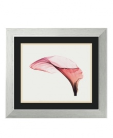 Steven N. Meyers brings the sheer beauty of a calla lily to light in this simply beautiful art print. Combining a brushed stainless steel look and feel with an eco-friendly core, the accompanying frame boasts ultra-modern appeal. Steven N. Meyers brings the sheer beauty of a calla lily to light in this simply beautiful art print. Combining a brushed stainless steel look and feel with an eco-friendly core, the accompanying frame boasts ultra-modern appeal.