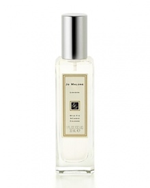 Inspired by breakfast in Tuscany -- the moment of breaking open juicy figs, fresh from the tree -- Wild Fig & Cassis is a delicious fragrance. The scent of sun-warmed figs and delicate cassis is entwined with notes of hyacinth and cedarwood, enveloping the wearer in the warmth of the Mediterranean.