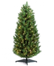 It's tradition! Deck and celebrate around the same beautiful Christmas tree year after year. Kurt Adler's faux sugar pine is strung with 100 twinkling lights and offers ample space for any ornament collection. It's tradition! Deck and celebrate around the same beautiful Christmas tree year after year. Kurt Adler's faux sugar pine is strung with 100 twinkling lights and offers ample space for any ornament collection.