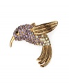 Winged and whimsical. A charming hummingbird takes flight on this pretty pin from Monet. Made in gold tone mixed metal, it's embellished with a dazzling array of multicolored glass accents. Item comes packaged in a gift box.