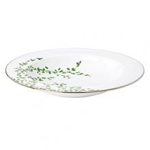 An instant classic from Kate Spade, the Gardner Street Green dinnerware collection is the definition of contemporary elegance. Green stems of foliage flourish on fine white bone china, creating a stylized two-tone floral motif to freshen up your table. Platinum edges add a touch of luxurious shine. Dishwasher safe.