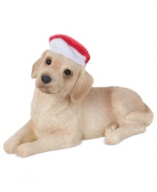 Bark up the right tree with a Christmas ornament for your dog – or a fellow animal lover! An adorable yellow lab waits patiently for holiday treats in her red Santa hat. From Sandicast. Bark up the right tree with a Christmas ornament for your dog – or a fellow animal lover! An adorable yellow lab waits patiently for holiday treats in her red Santa hat. From Sandicast.